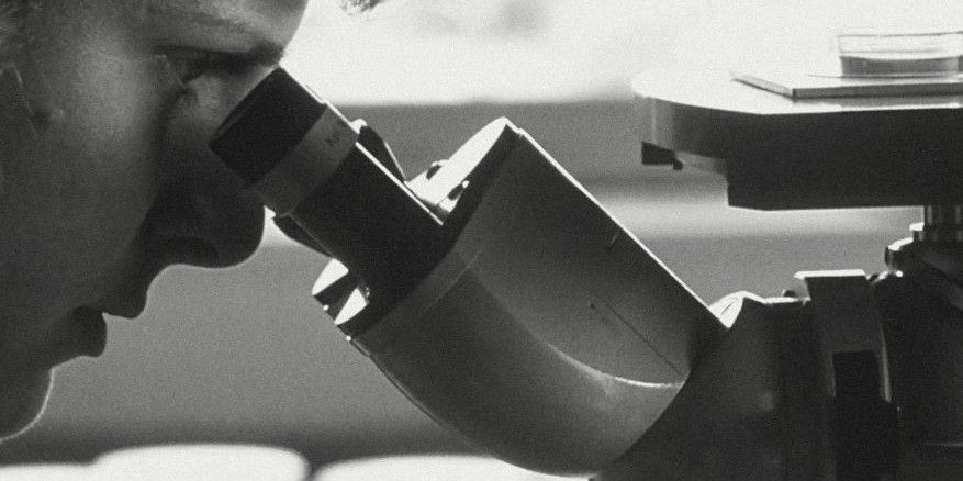 A scientist looking through a microscope beside culture dishes